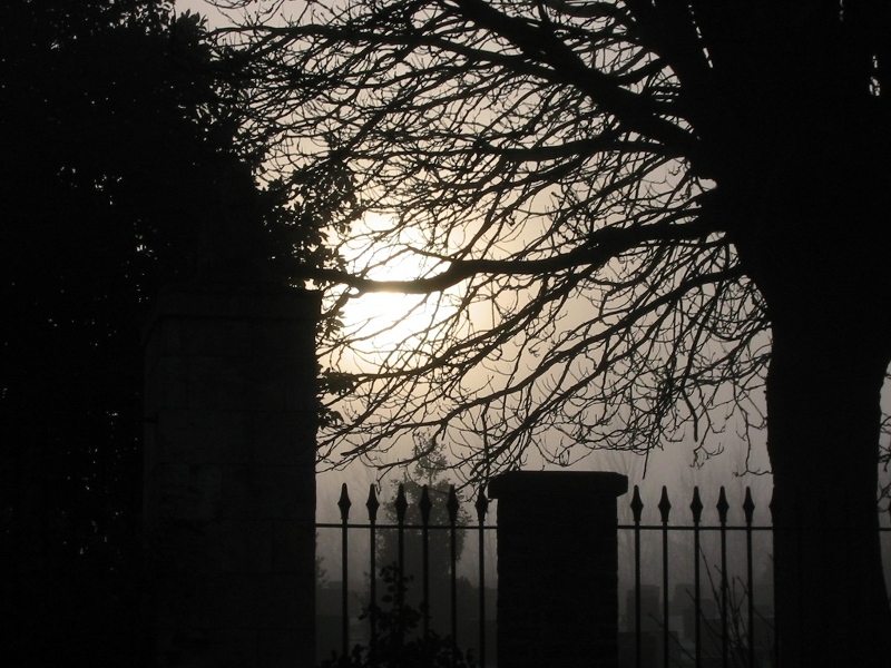 Misty Cemetery